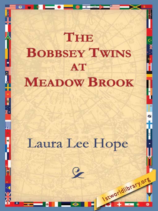 Cover image for The Bobbsey Twins at Meadow Brook